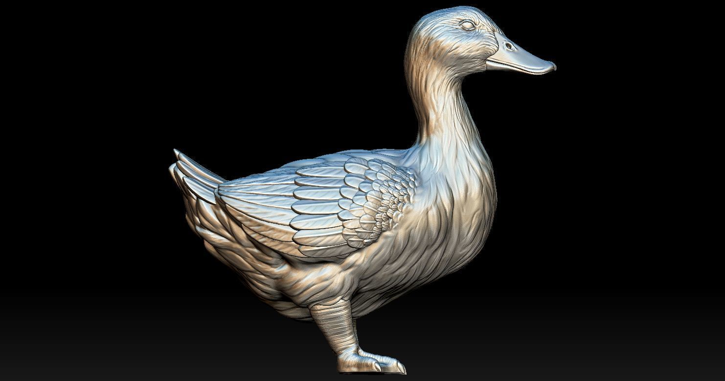 DUCK MODEL 3D PRINT 3D print model_2
