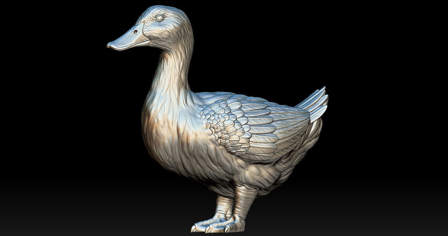 DUCK MODEL 3D PRINT 3D print model_10