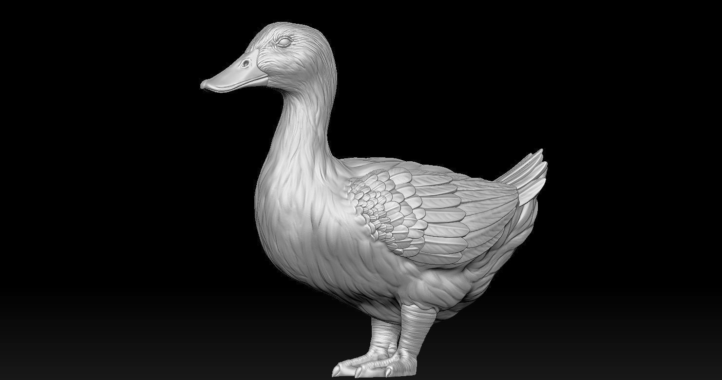 DUCK MODEL 3D PRINT 3D print model_9