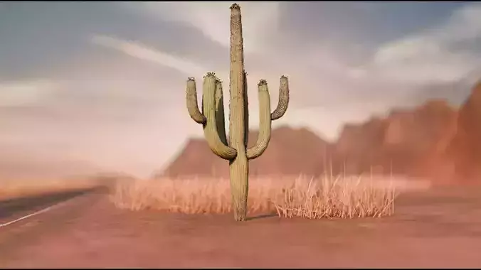 DESERT 3D model
