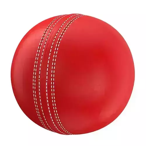 Leather Cricket Ball