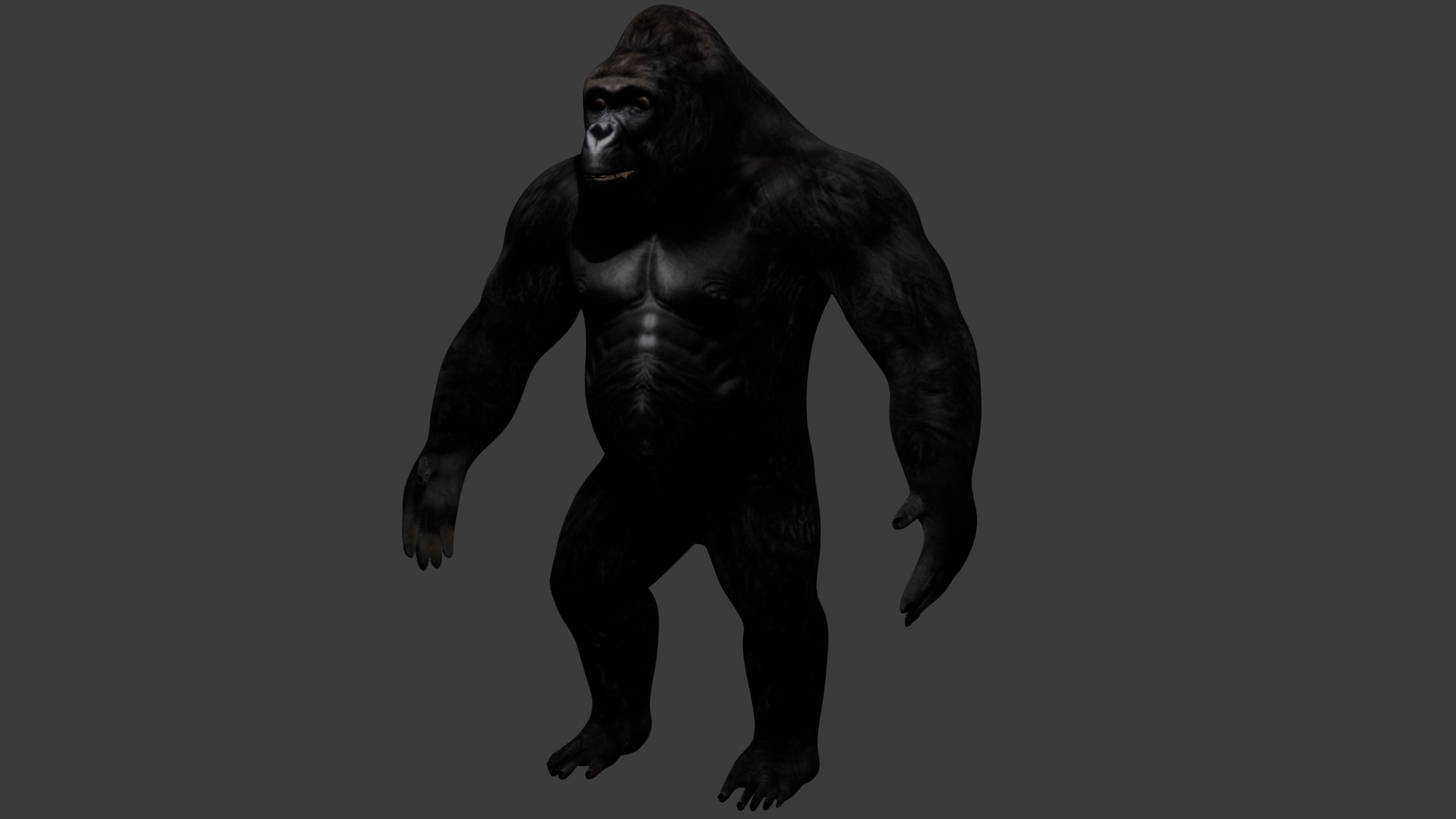 Gorilla 3D model_2