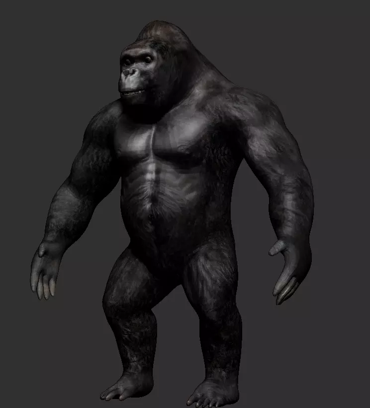 Gorilla 3D model_0