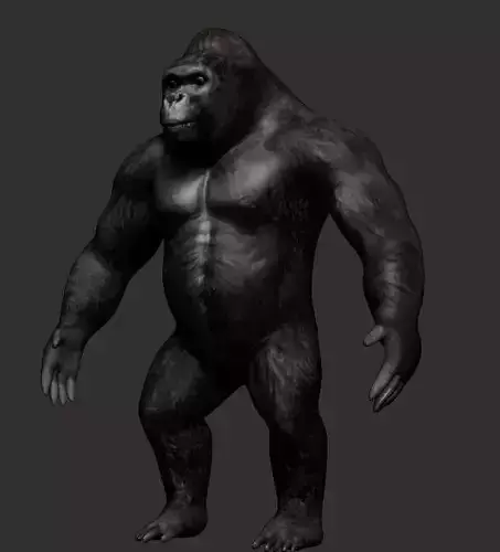 Gorilla 3D model