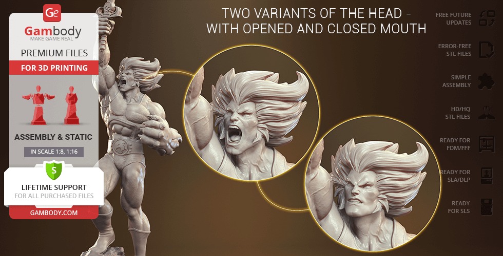 Lion O from Thundercats STL files 3D printing collectibles 3D print model_42