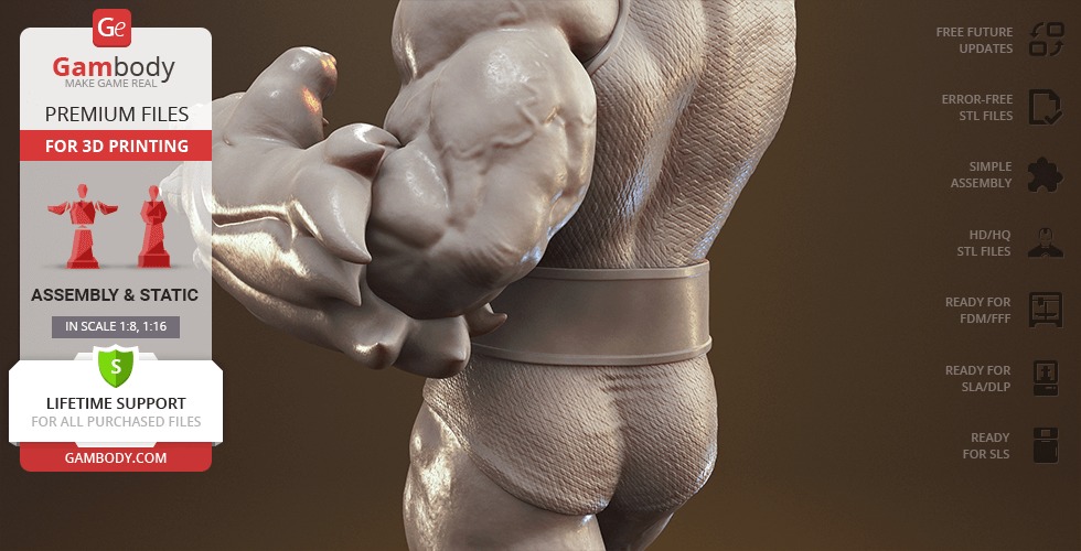 Lion O from Thundercats STL files 3D printing collectibles 3D print model_22