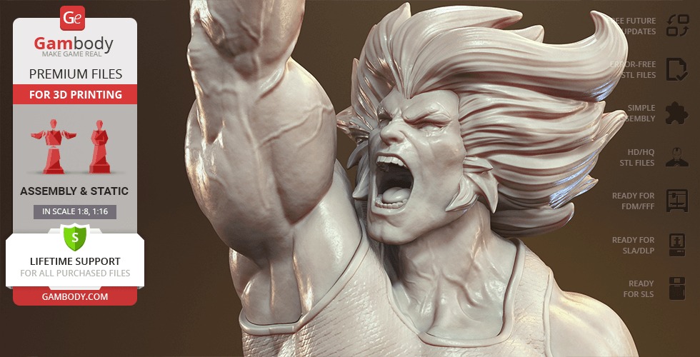 Lion O from Thundercats STL files 3D printing collectibles 3D print model_24