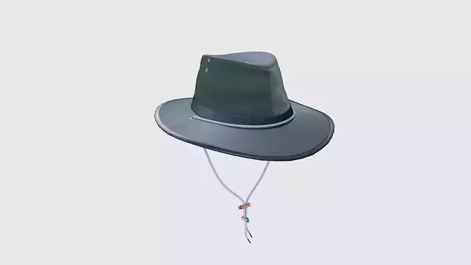 Traveling Hat 3D model