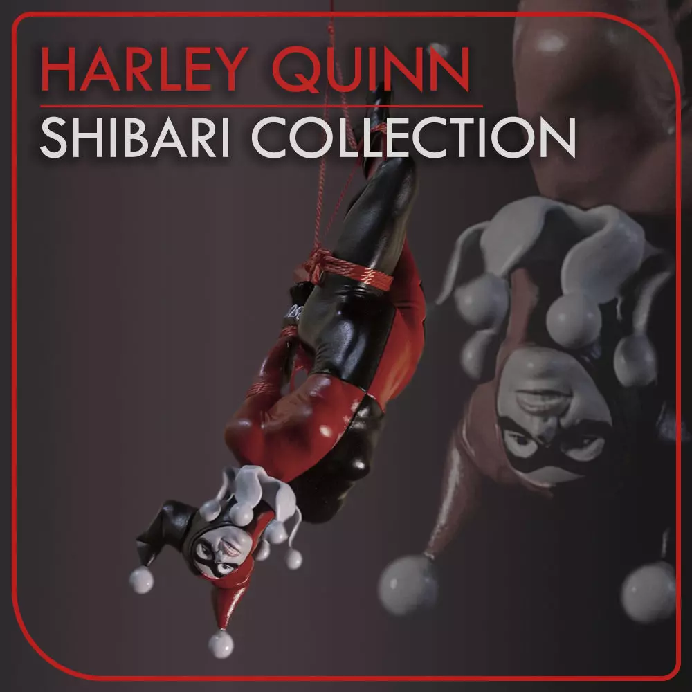 SHIBARI FIGURE Harley Quinn 3D print model_0