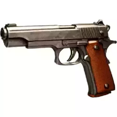 Simple Luxurious handgun 