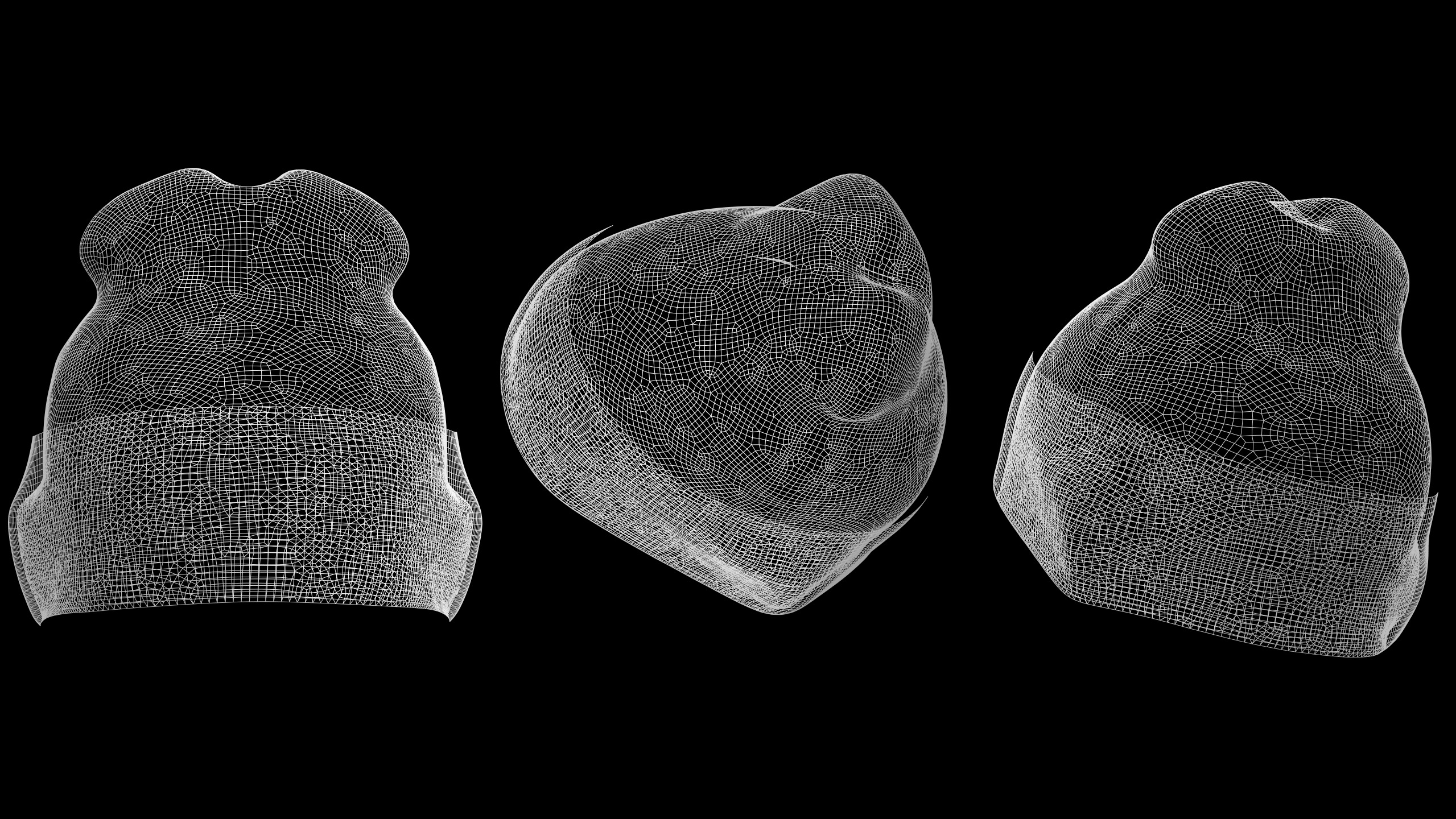 BASIC BEANIES PACK genesis8 highpoly 3D model_6