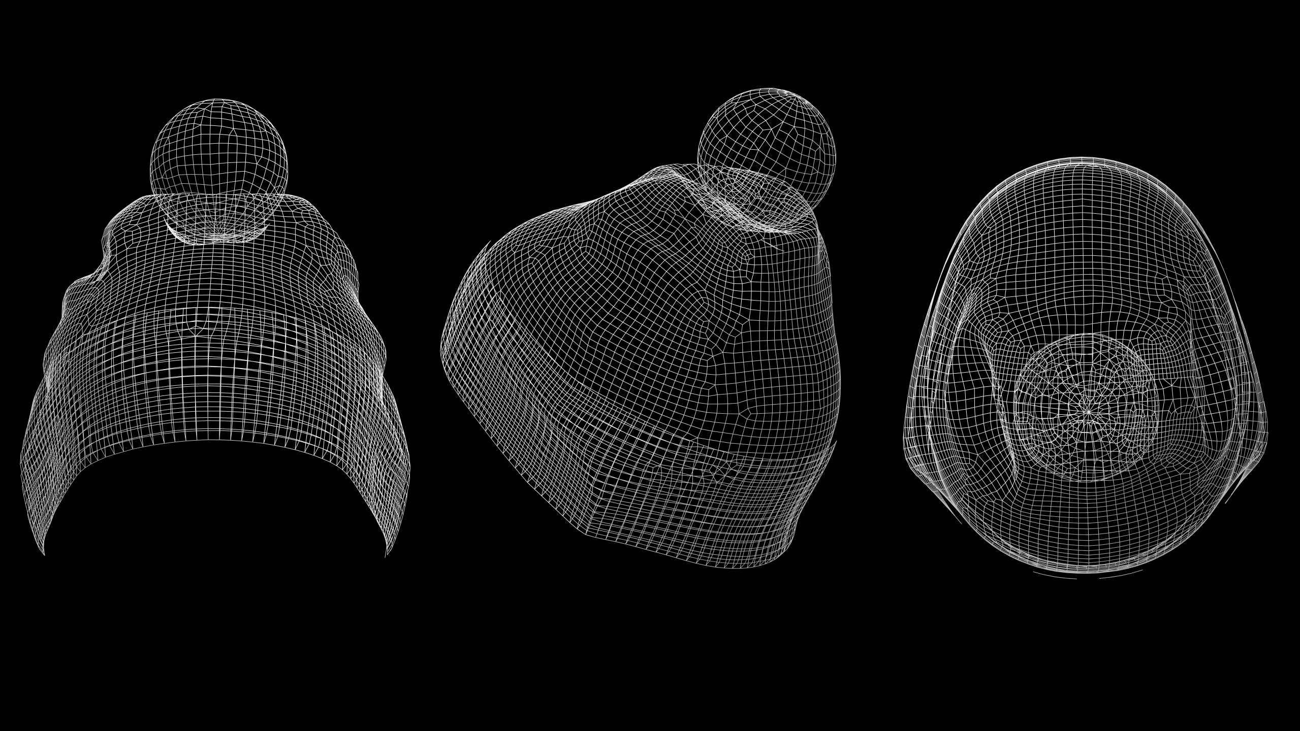 BASIC BEANIES PACK genesis8 highpoly 3D model_3