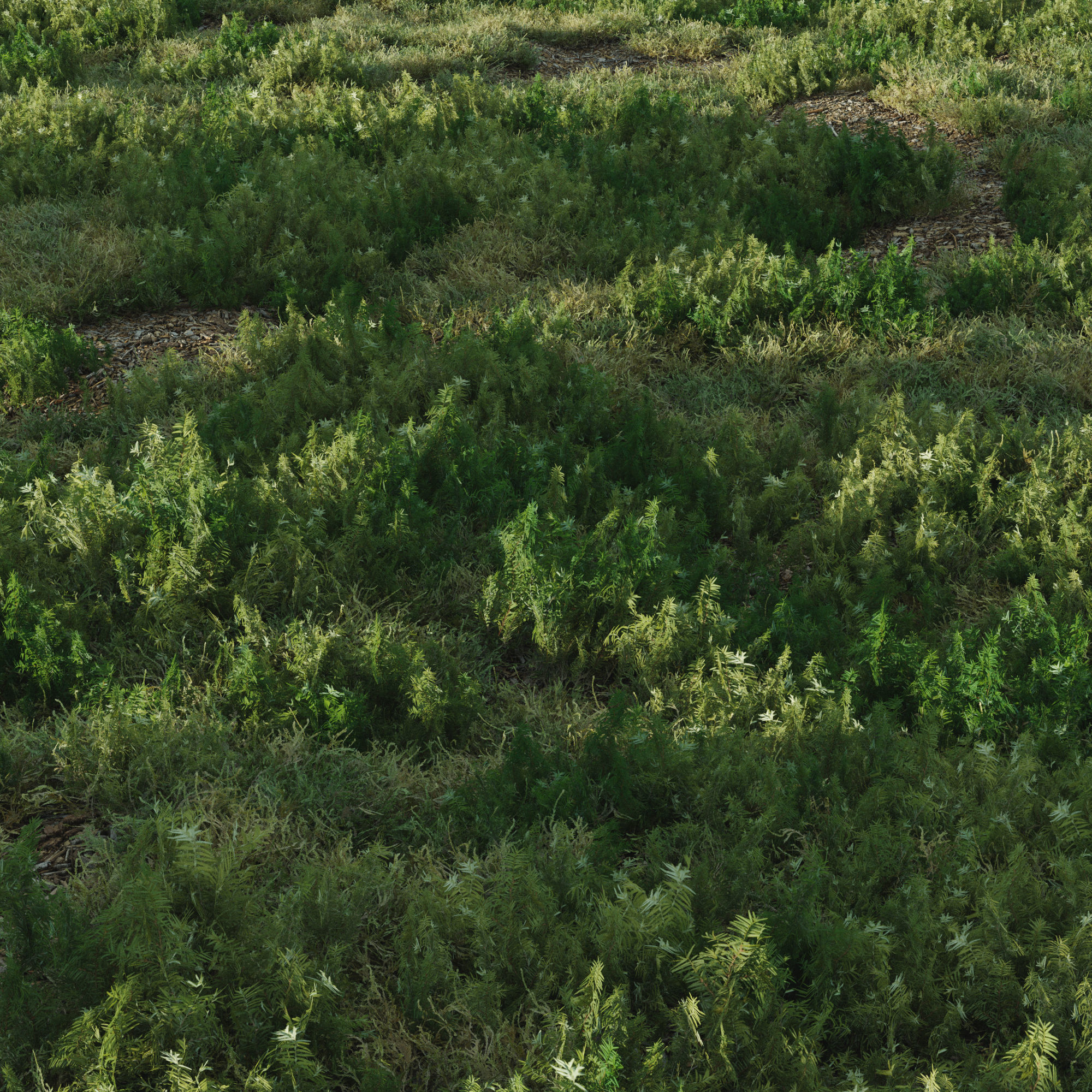 forest grass shuba 1 3D model_3