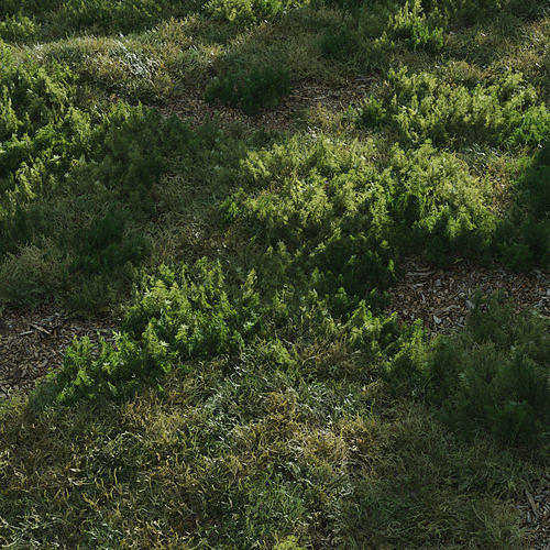 forest grass shuba 1 3D model