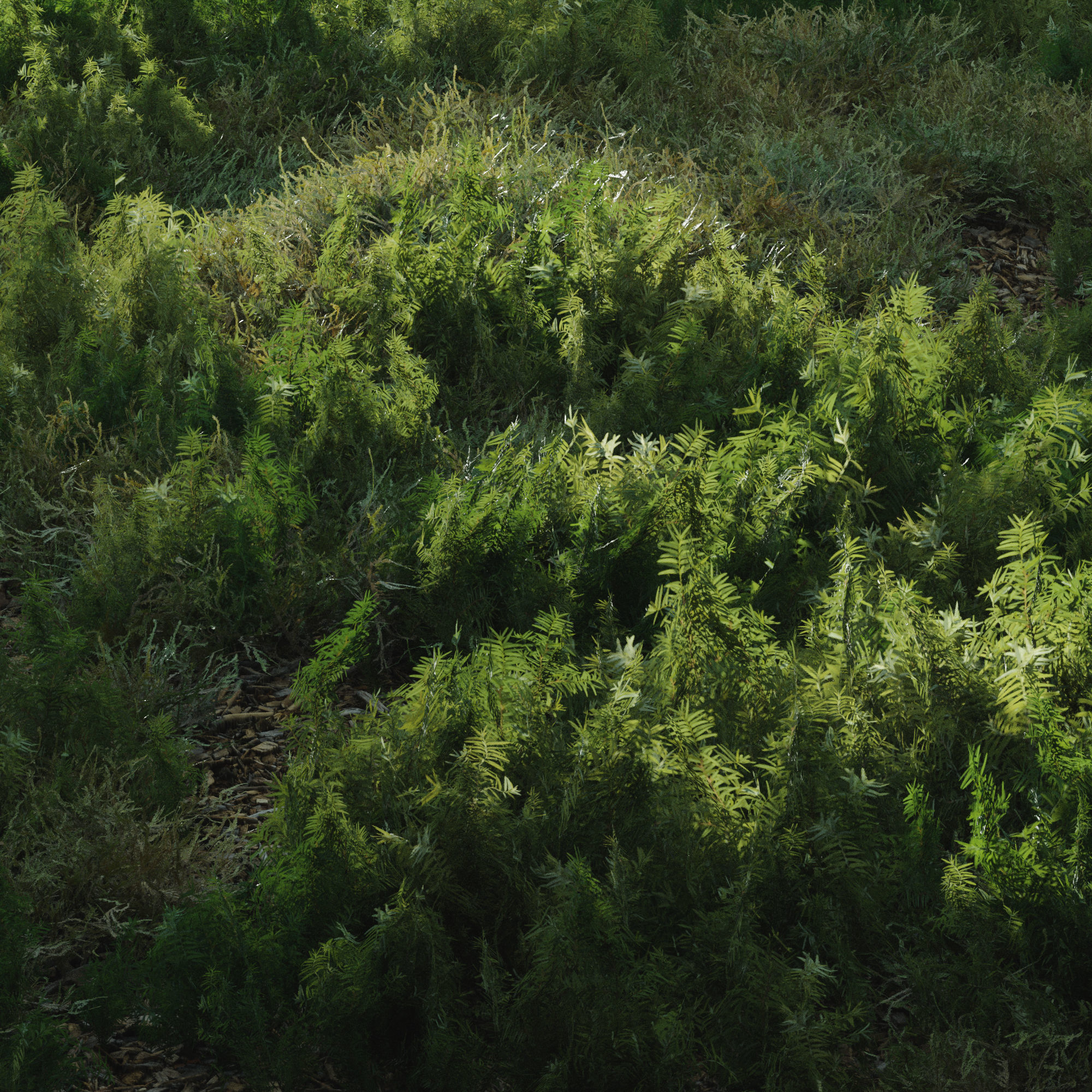 forest grass shuba 1 3D model_1