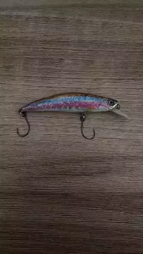 bait inspired by duo 70mm 3D print model