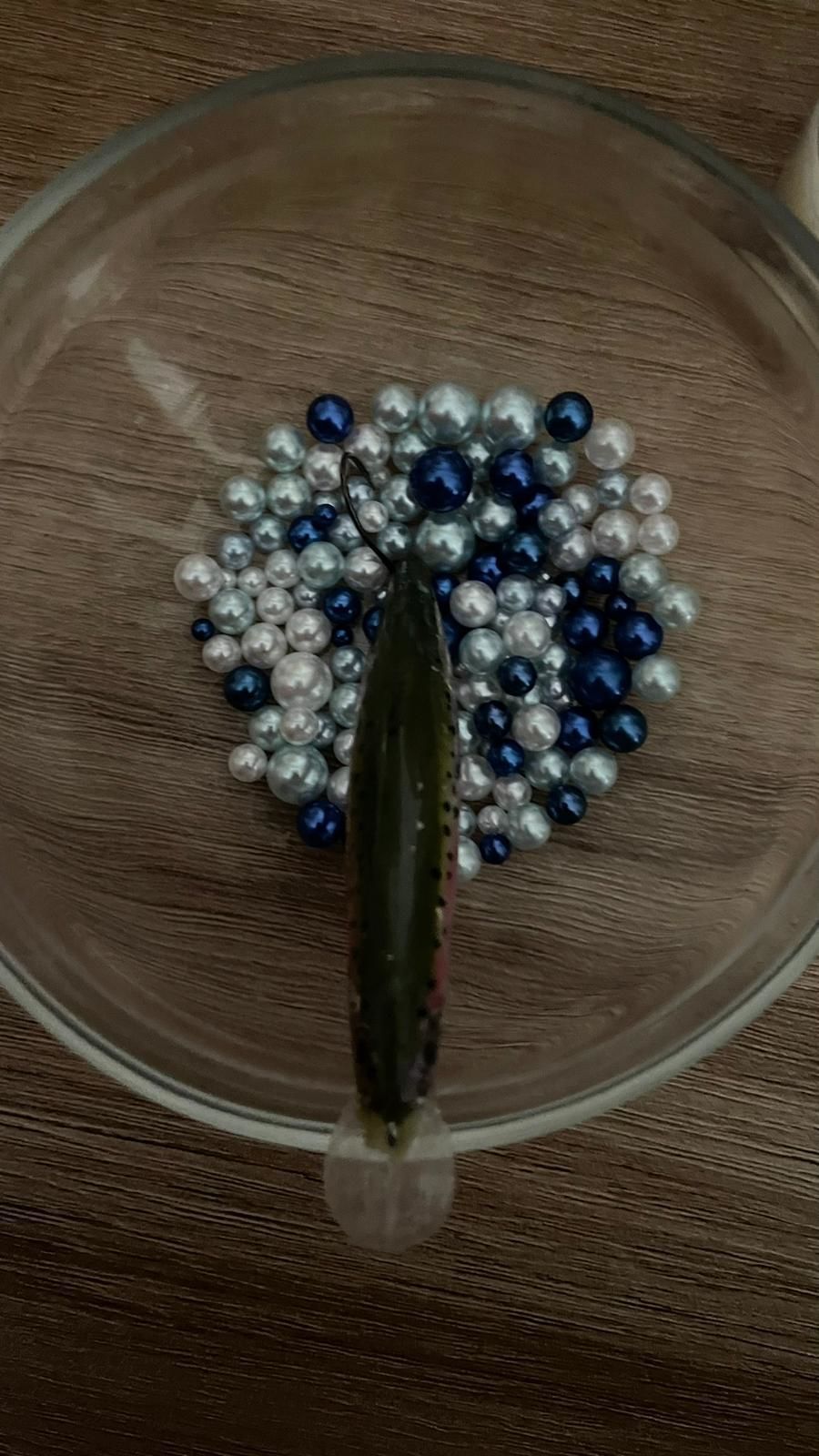 bait inspired by duo 70mm 3D print model_3