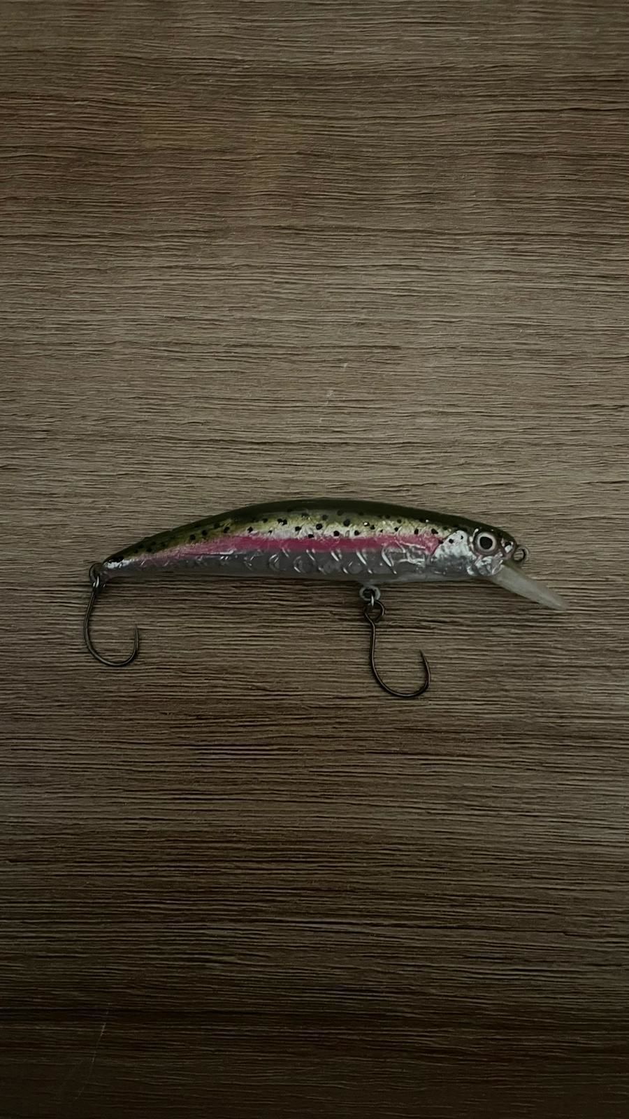 bait inspired by duo 70mm 3D print model_2