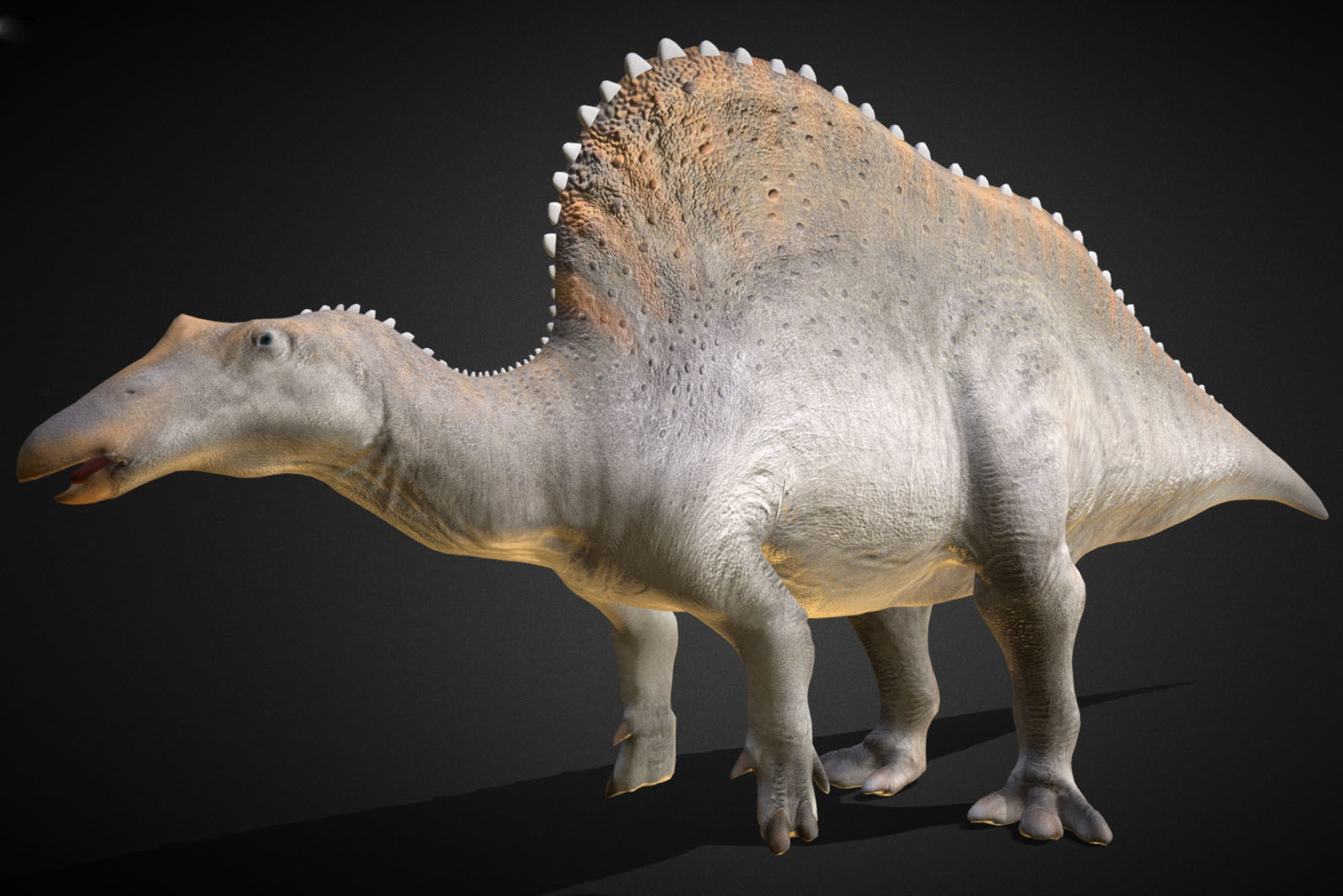 Oranosaurus Low-poly 3D model_2