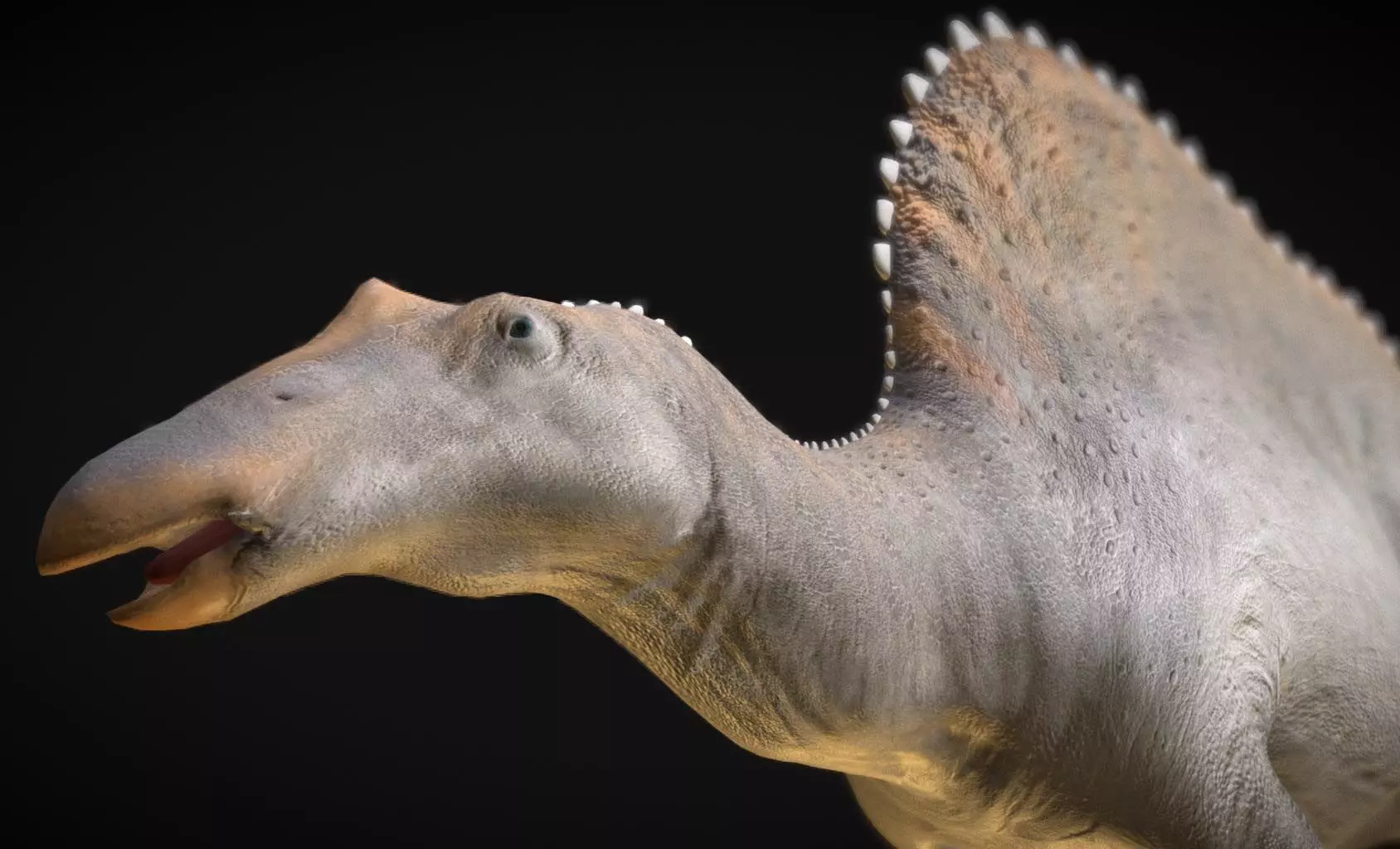 Oranosaurus Low-poly 3D model_0