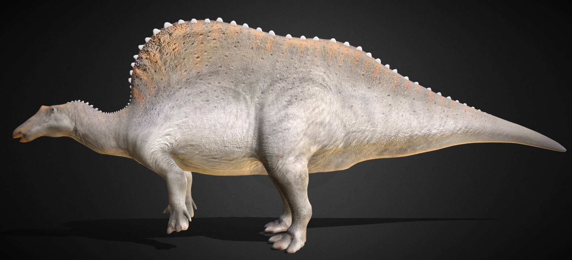 Oranosaurus Low-poly 3D model_6