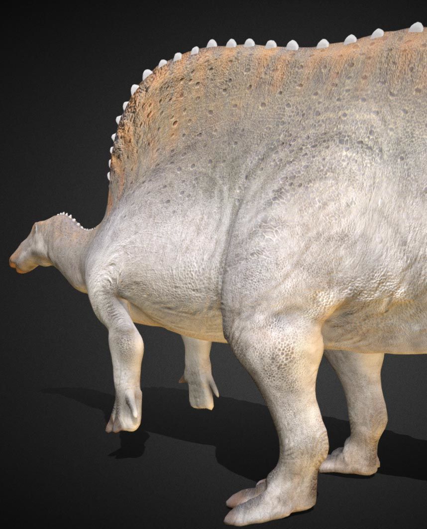 Oranosaurus Low-poly 3D model_5