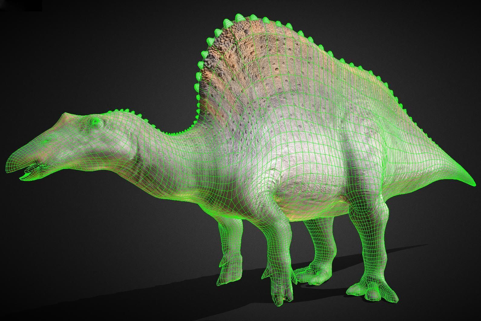 Oranosaurus Low-poly 3D model_3