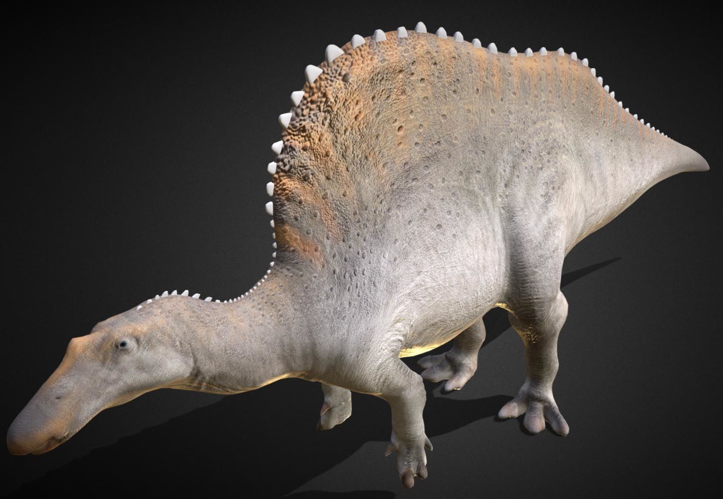 Oranosaurus Low-poly 3D model_7