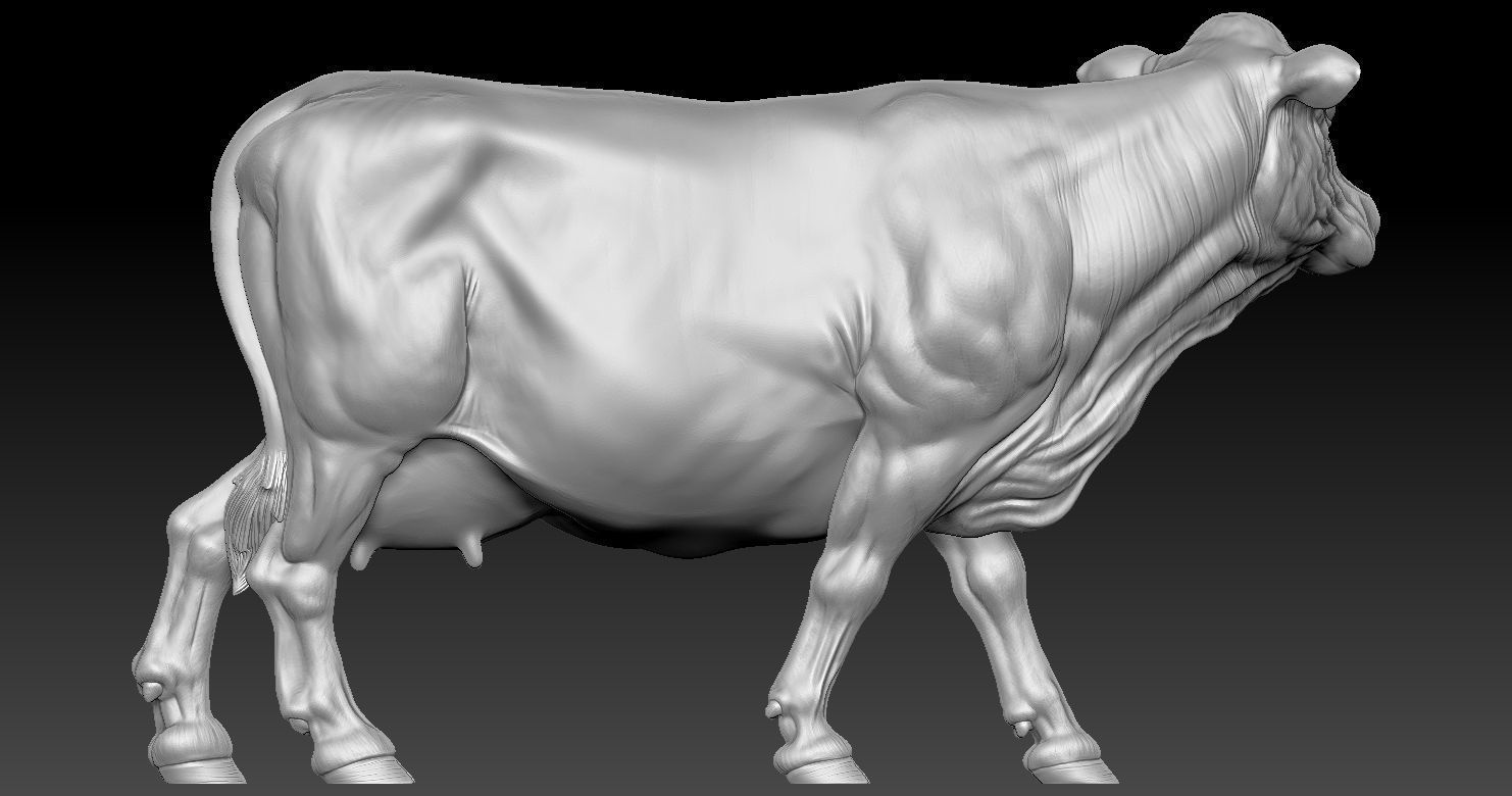 COW MODEL 3D PRINT 3D print model 3D print model_10