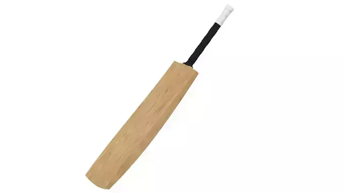 Cricket Bat