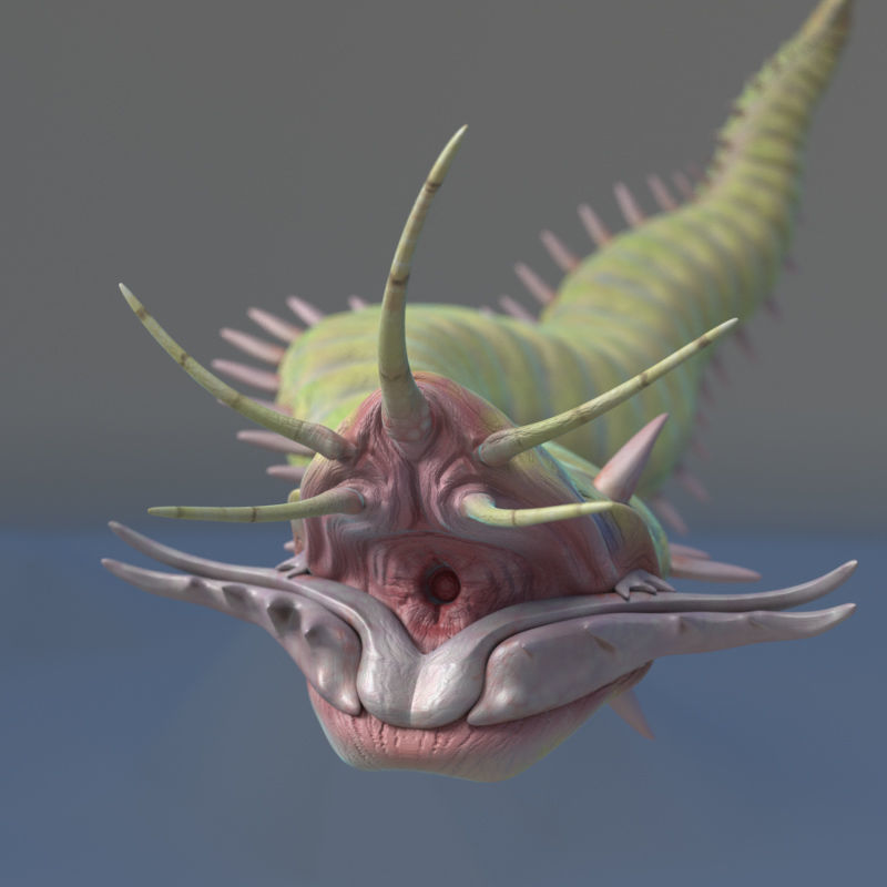 Rigged Bobbit Worm 3D Model for Poser Daz 3D model_8