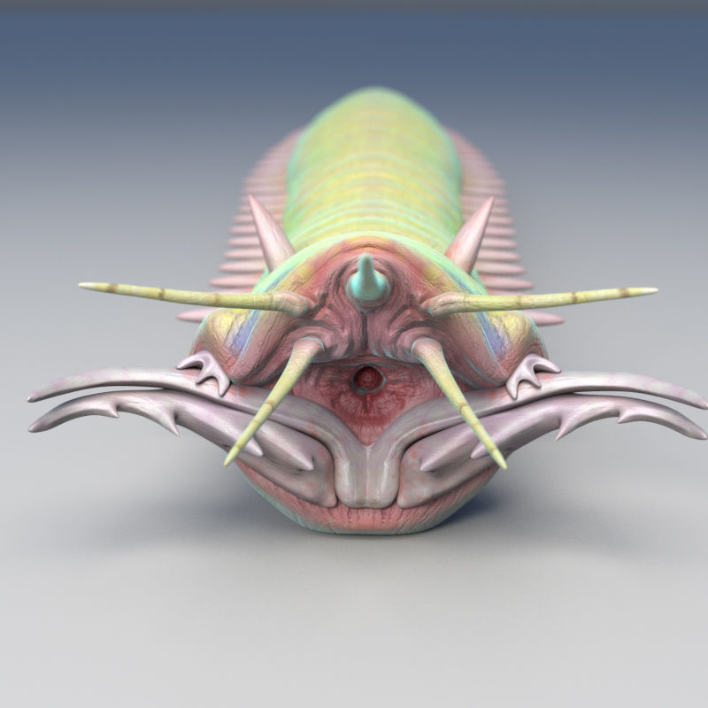 Rigged Bobbit Worm 3D Model for Poser Daz 3D model_11