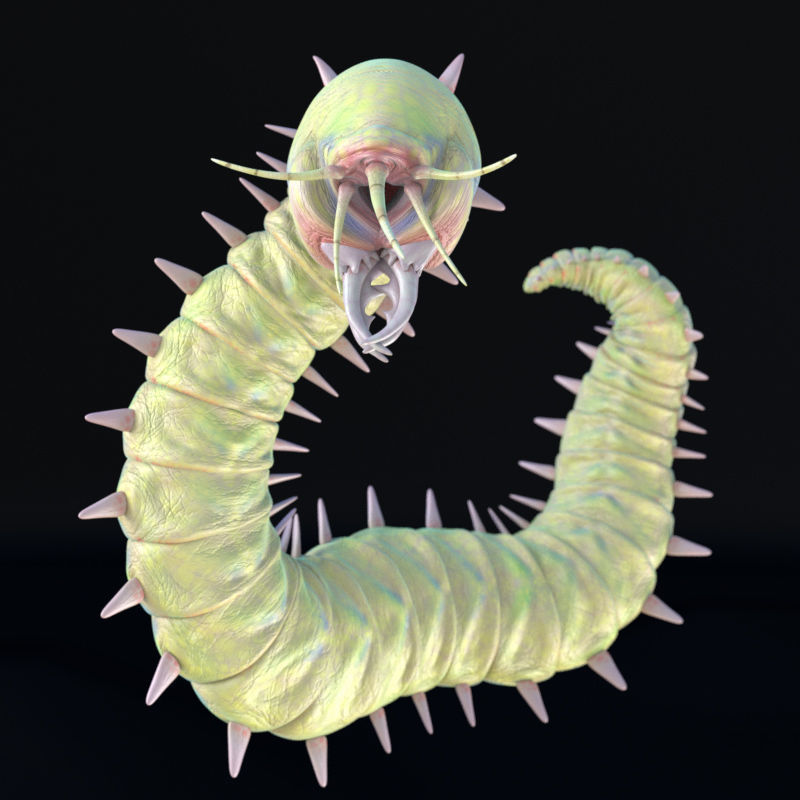 Rigged Bobbit Worm 3D Model for Poser Daz 3D model_14