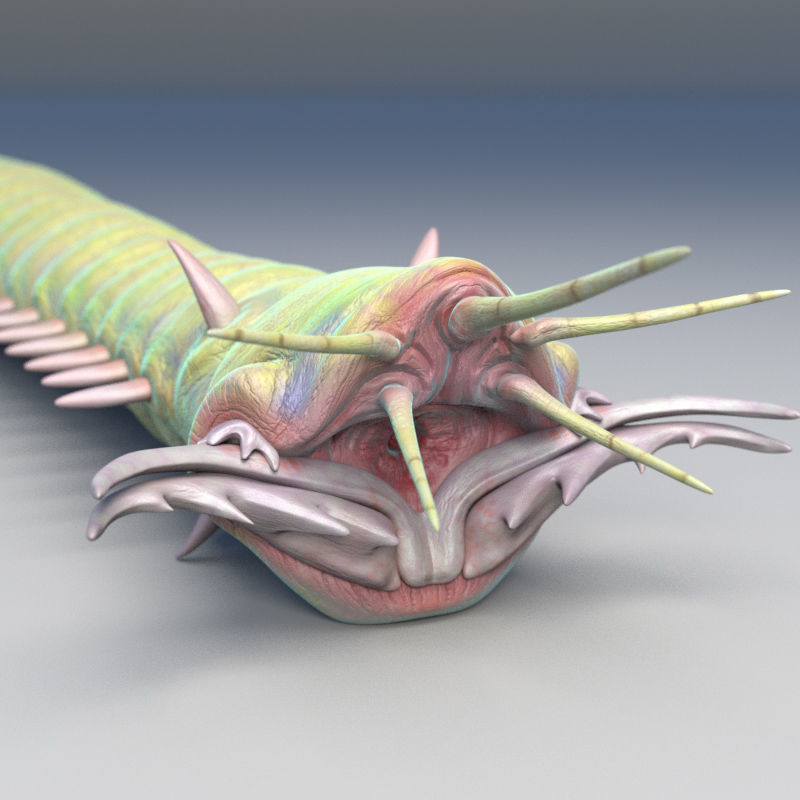 Rigged Bobbit Worm 3D Model for Poser Daz 3D model_5