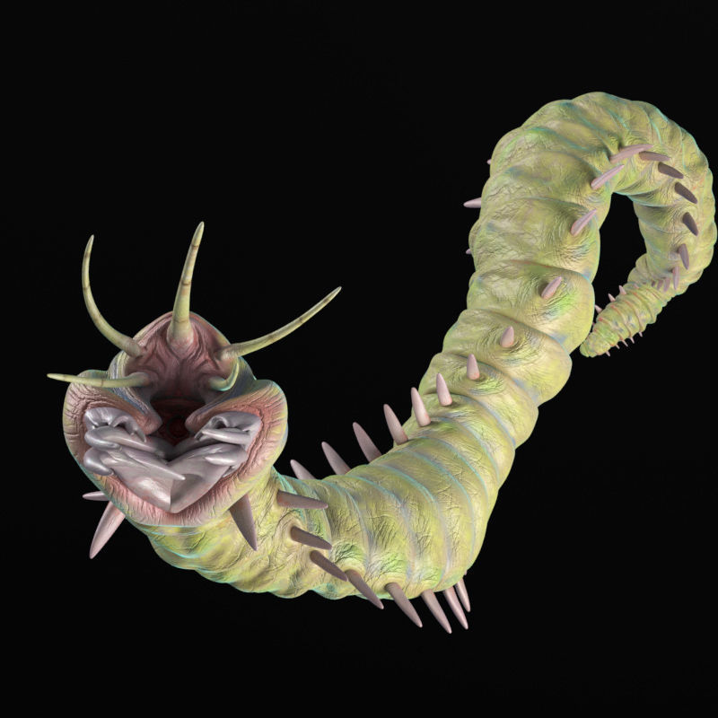 Rigged Bobbit Worm 3D Model for Poser Daz 3D model_13
