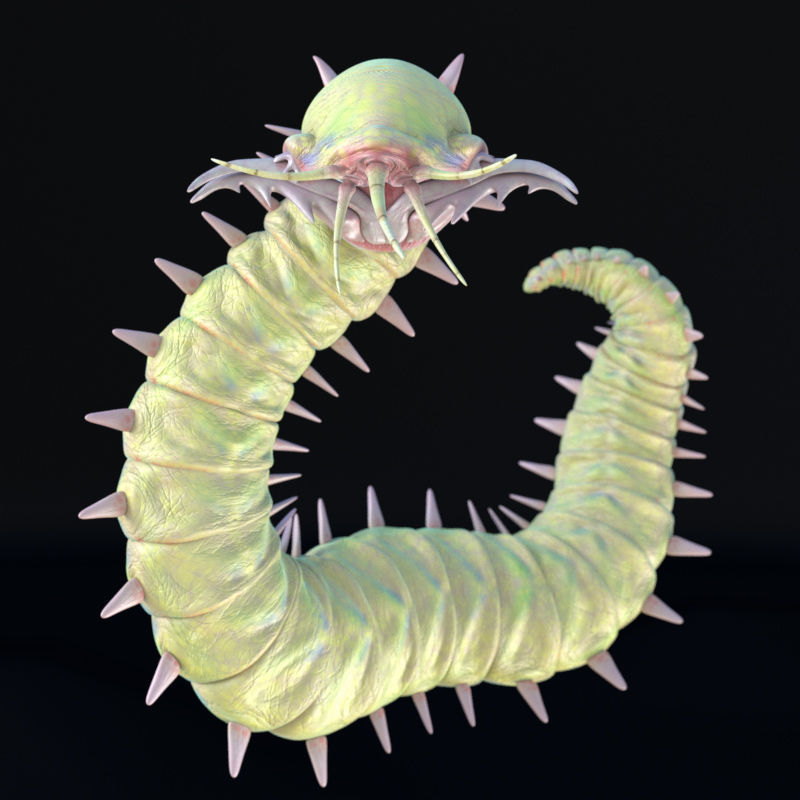 Rigged Bobbit Worm 3D Model for Poser Daz 3D model_1