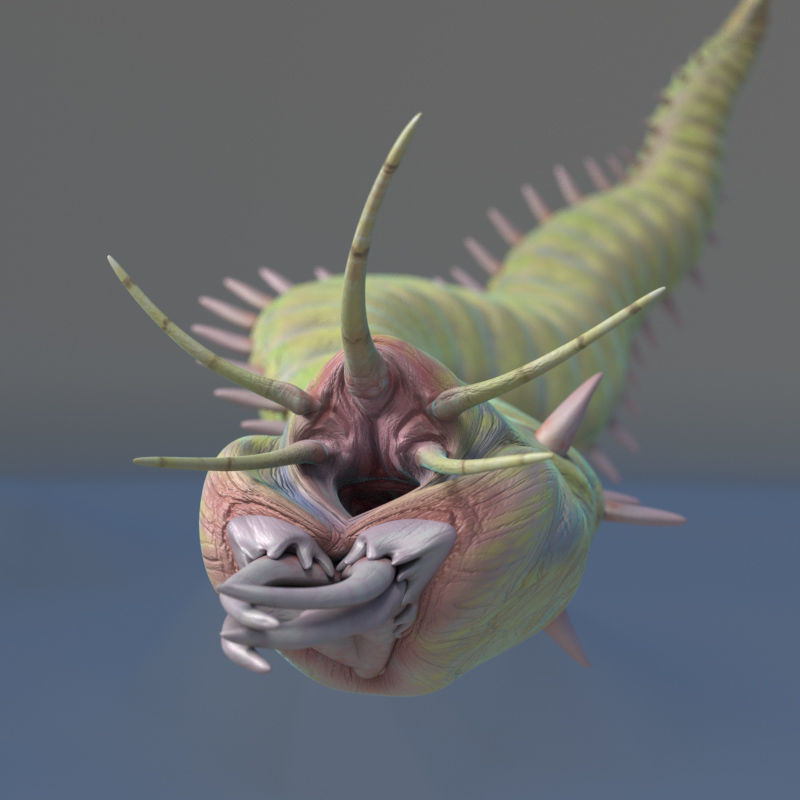 Rigged Bobbit Worm 3D Model for Poser Daz 3D model_7