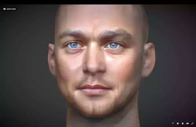 Leonardo DiCaprio Male head Realistic Perfect Head
