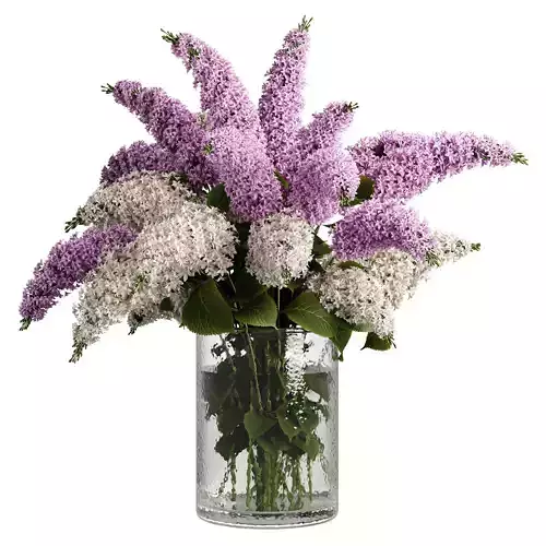Bouquets lilacs  23