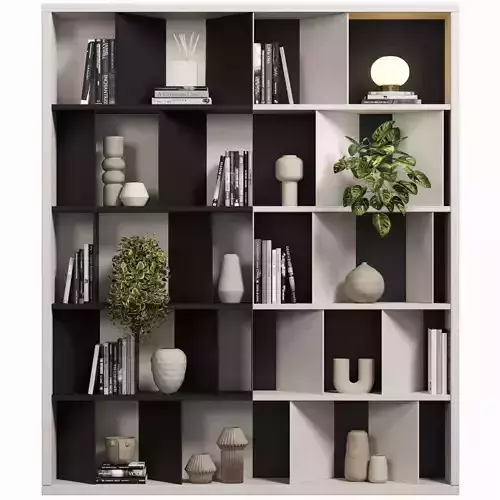 111 bookcase 111