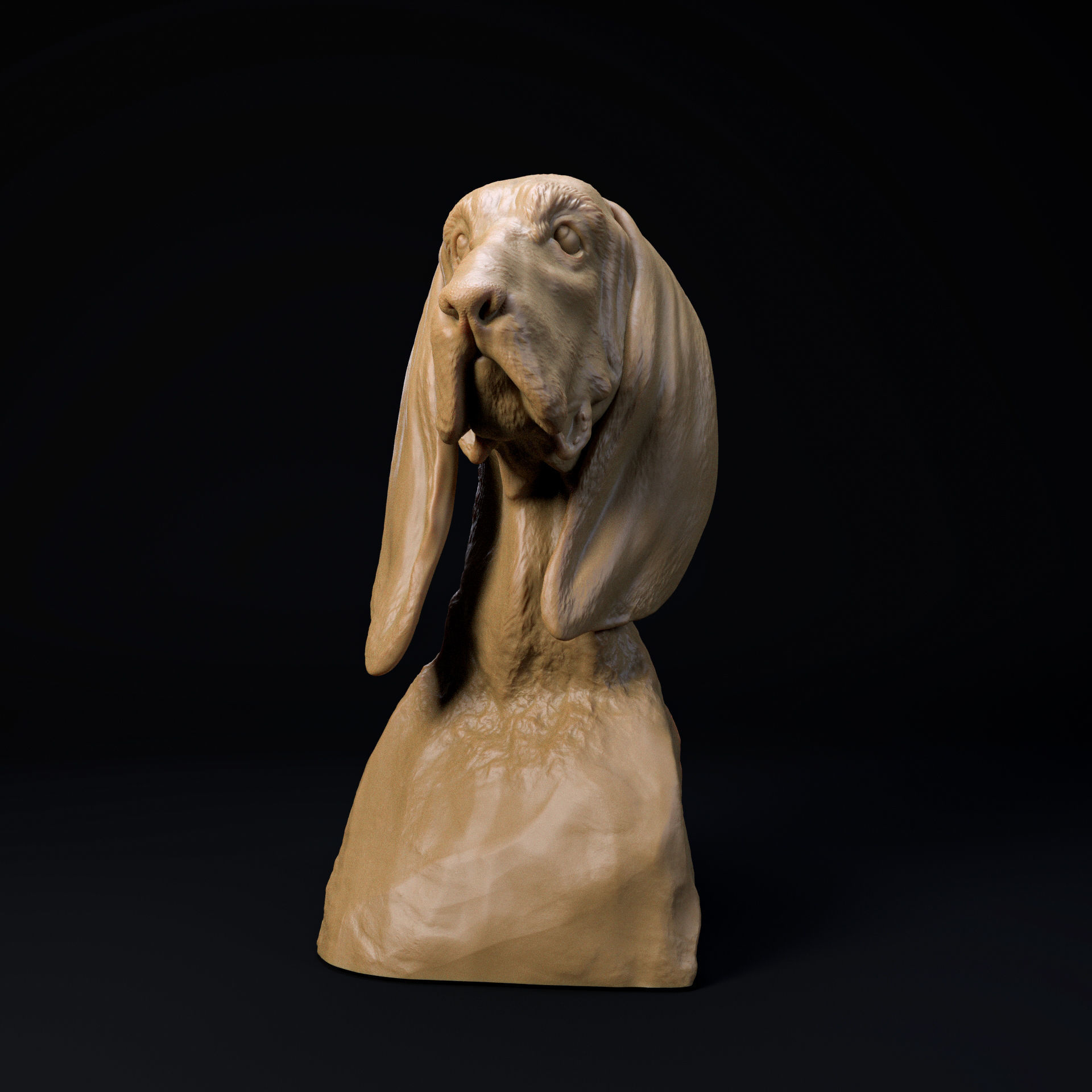 Basset hound bust - looking at the treat 3D print model_1