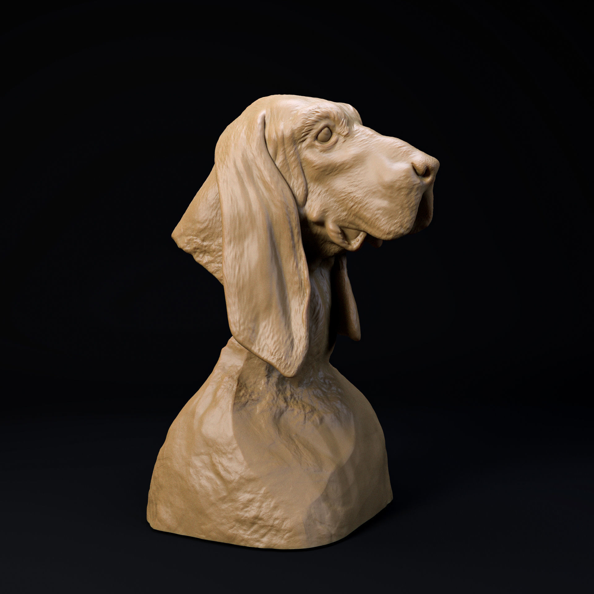 Basset hound bust - looking at the treat 3D print model_3