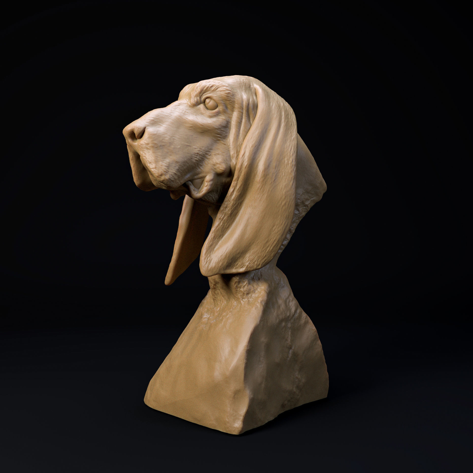 Basset hound bust - looking at the treat 3D print model_2