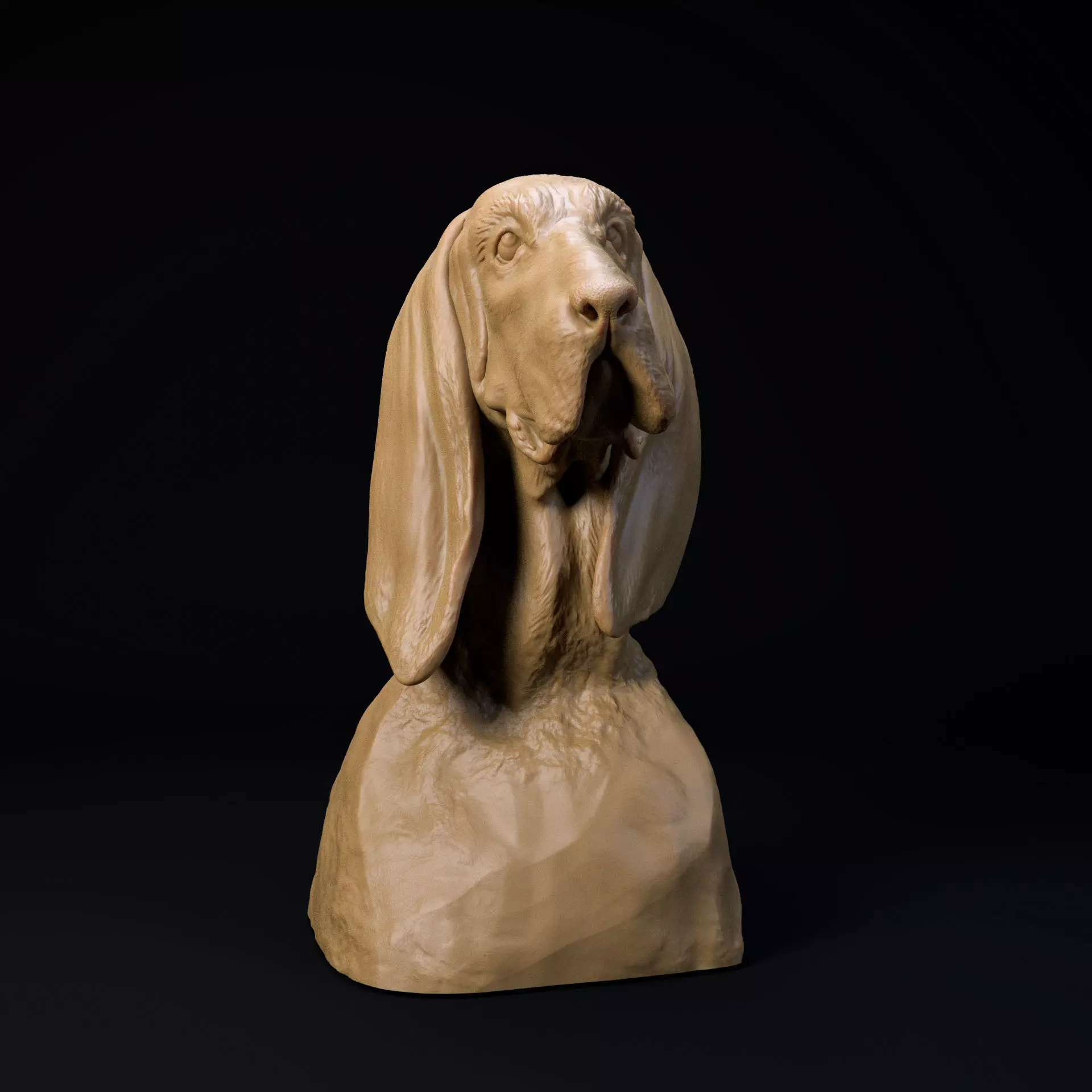 Basset hound bust - looking at the treat 3D print model_0