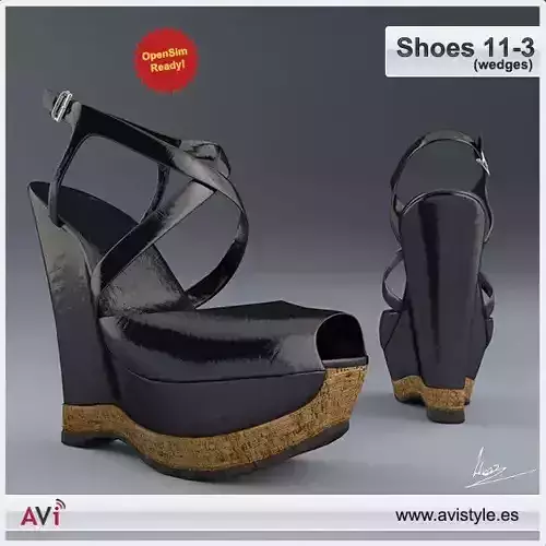 Shoe 11-3 wedges