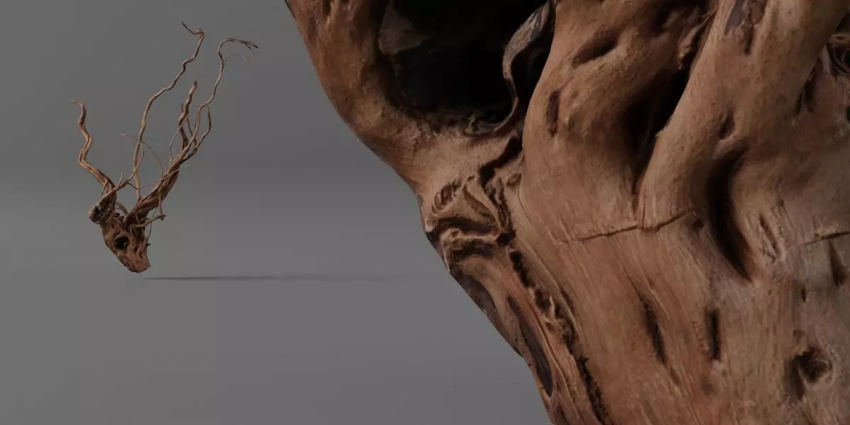 Photorealistic Scaper Root Low-poly 3D model_0