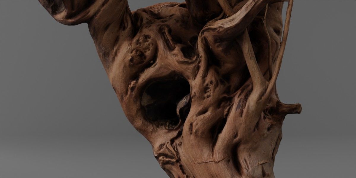 Photorealistic Scaper Root Low-poly 3D model_5