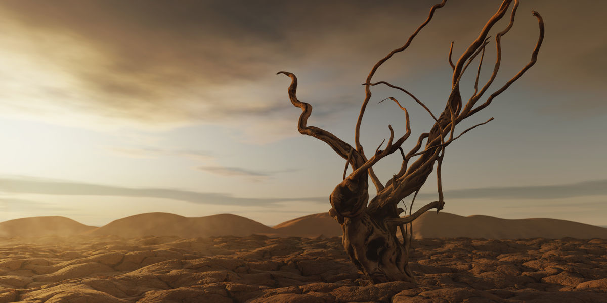 Photorealistic Scaper Root Low-poly 3D model_9