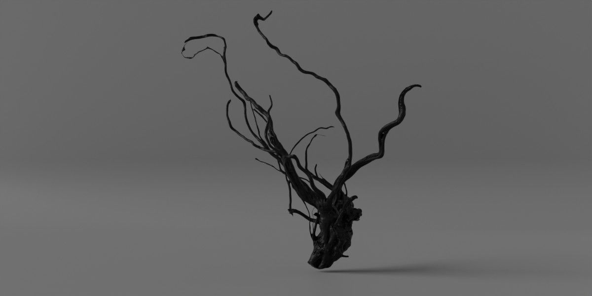 Photorealistic Scaper Root Low-poly 3D model_7