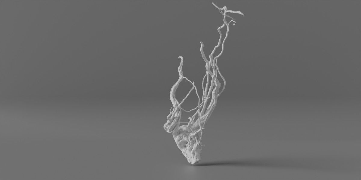 Photorealistic Scaper Root Low-poly 3D model_6